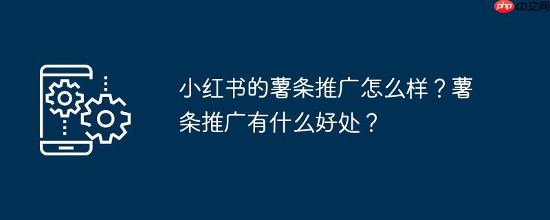 小红书的薯条推广怎么样？薯条推广有什么好处？