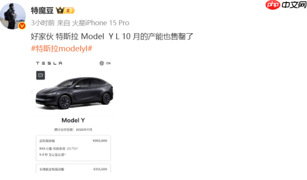 特斯拉Model Y L被曝10月产能售罄 最新订单排至11月