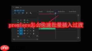 premiere如何快速批量插入过渡