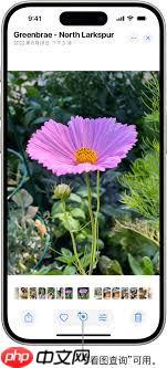 iPhone17promax怎么使用看图查询识别图片内信息