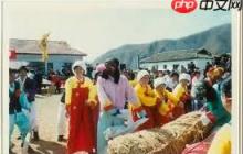 拔草龙是哪个民族的习俗