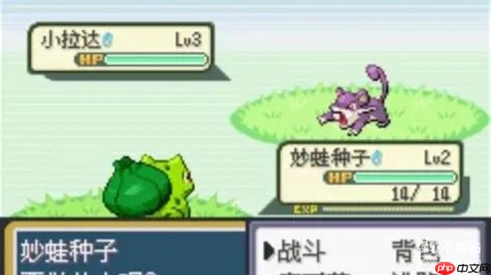 口袋妖怪rom下载大全：GBA/NDS中文版游戏免费获取