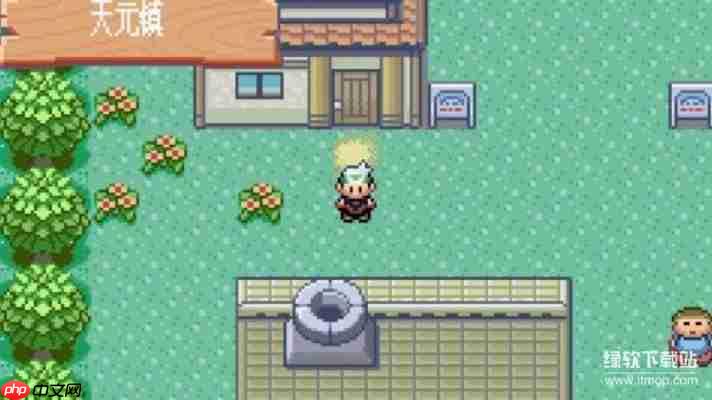 口袋妖怪rom下载大全：GBA/NDS中文版游戏免费获取