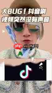 抖音视频没声音如何解决