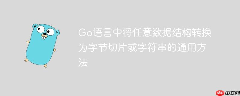 Go语言中将任意数据结构转换为字节切片或字符串的通用方法