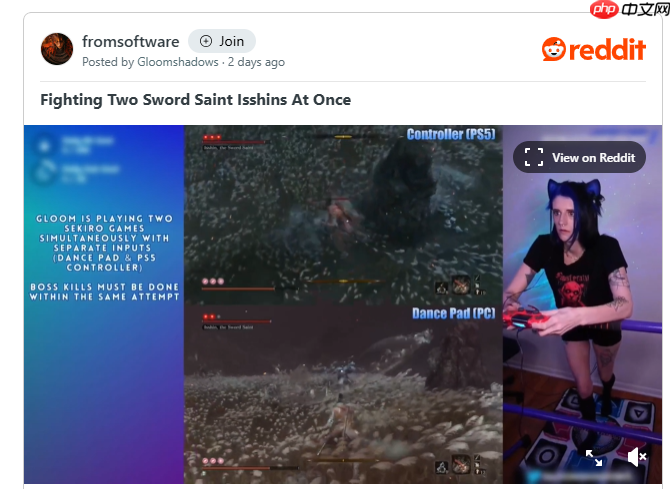 还能这么玩?美女高玩手脚同时玩两个《只狼》成功双杀总BOSS