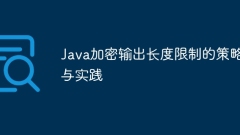 Strategies and practices for limiting output length of Java encryption