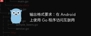 输出格式要求：在 Android 上使用 Go 程序访问互联网