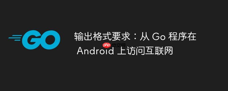 输出格式要求:从 go 程序在 android 上访问互联网