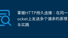 Master HTTP persistent connection: the principles and practices of sending multiple requests on the same Socket