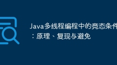 Rassenbedingungen in Java -Multithread -Programmierung: Prinzip, Reproduktion und Vermeidung
