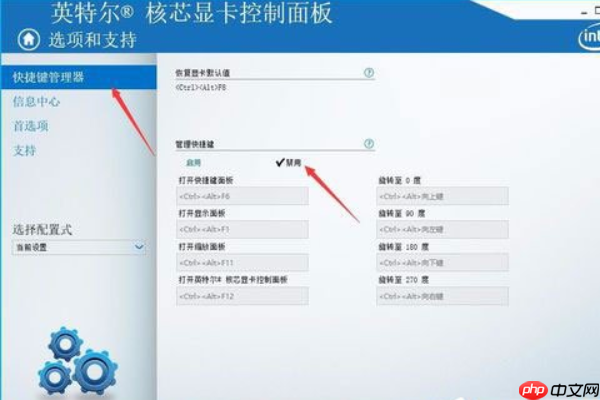 Win10开机提示igfxhk module已停止工作的解决方法