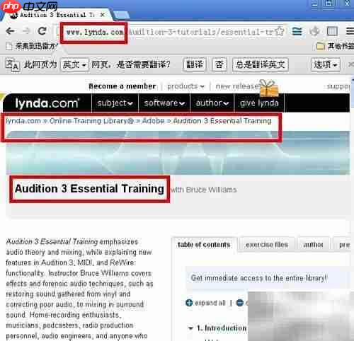 Adobe Audition V3教程在哪找