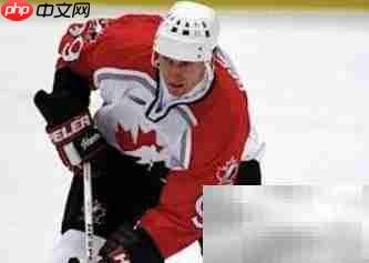 冰球2004全秘籍速查