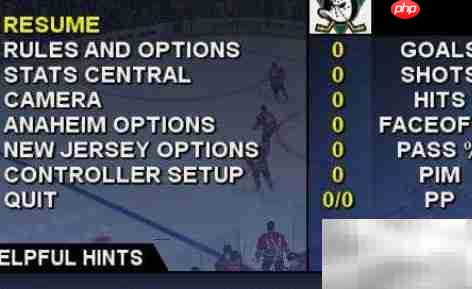 冰球2004全秘籍速查