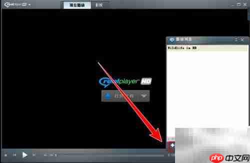 RealPlayer创建播放列表教程