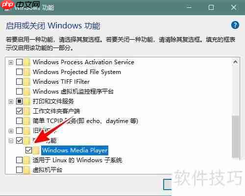 Win10 2004启用Media Player