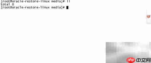 Linux虚拟机光驱识别问题