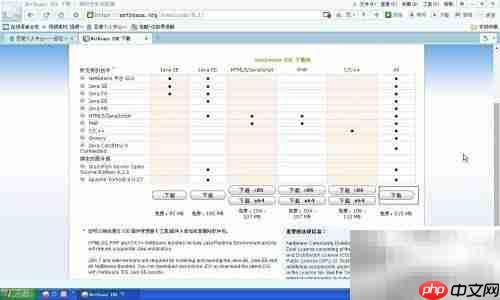 安装NetBeans IDE 8.1指南
