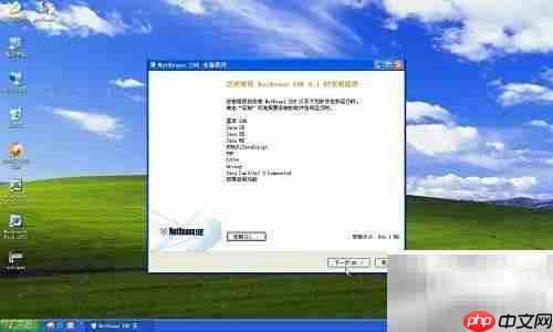 安装NetBeans IDE 8.1指南