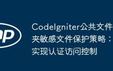 CodeIgniter公共文件夹敏感文件保护策略:实现认证访问控制