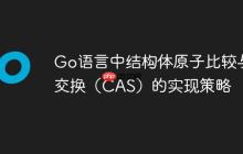Go语言中结构体原子比较与交换(CAS)的实现策略