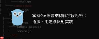 掌握Go语言结构体字段标签：语法、用途与反射实践