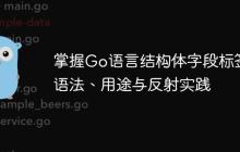 掌握Go语言结构体字段标签:语法、用途与反射实践