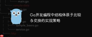 Go并发编程中结构体原子比较与交换的实现策略