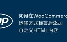 如何在WooCommerce运输方式标签后添加自定义HTML内容
