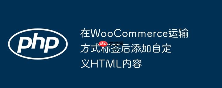 在WooCommerce运输方式标签后添加自定义HTML内容
