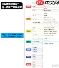 怎样制作英文版远程控制软件