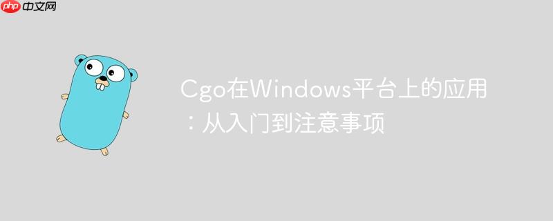 Cgo在Windows平台上的应用：从入门到注意事项