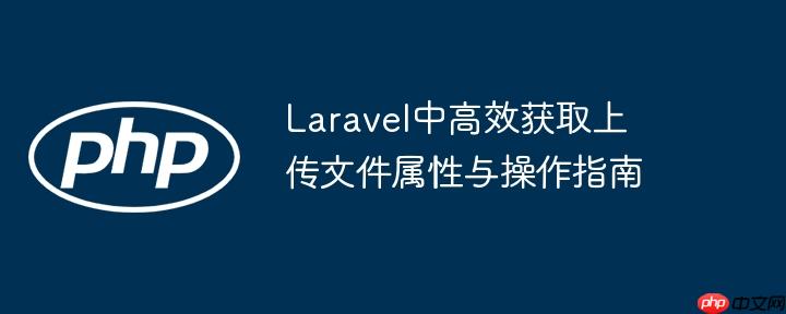 Laravel中高效获取上传文件属性与操作指南