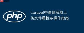 Laravel中高效获取上传文件属性与操作指南