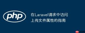 在Laravel请求中访问上传文件属性的指南
