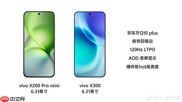 6.31英寸最强小直屏！vivo X300屏幕规格揭晓：最窄四等边+超声波指纹2.0
