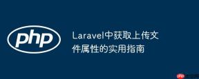 Laravel中获取上传文件属性的实用指南