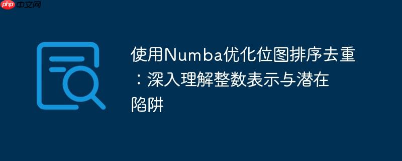 使用Numba优化位图排序去重：深入理解整数表示与潜在陷阱
