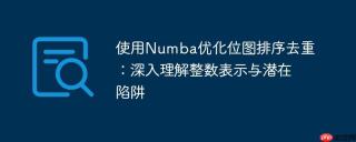 使用Numba优化位图排序去重：深入理解整数表示与潜在陷阱