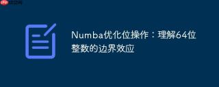Numba优化位操作：理解64位整数的边界效应