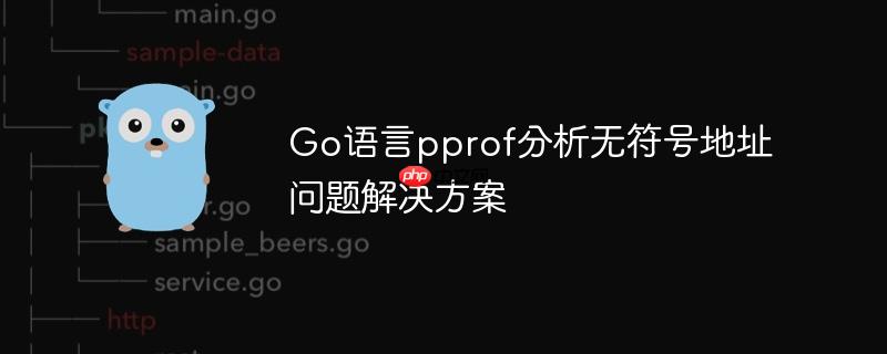 Go语言pprof分析无符号地址问题解决方案