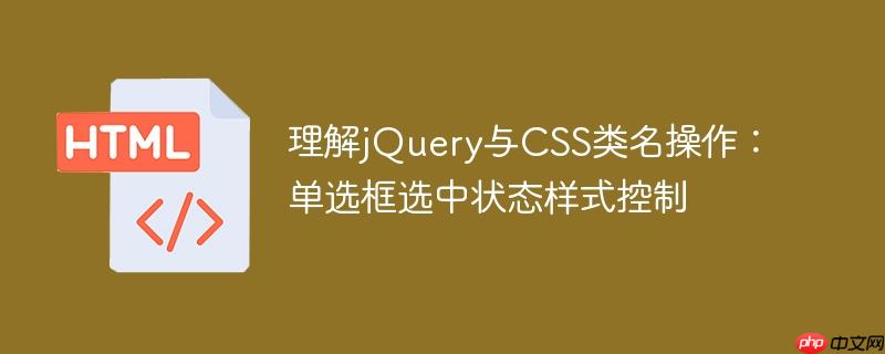 理解jQuery与CSS类名操作：单选框选中状态样式控制
