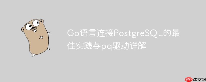 Go语言连接PostgreSQL的最佳实践与pq驱动详解