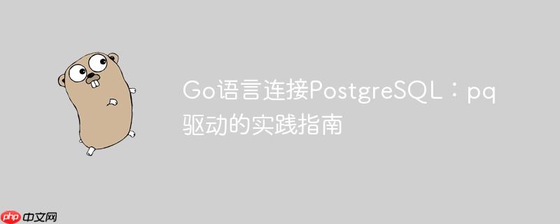 Go语言连接PostgreSQL:pq驱动的实践指南