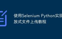 使用Selenium Python实现拖放式文件上传教程