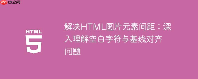 解决HTML图片元素间距：深入理解空白字符与基线对齐问题