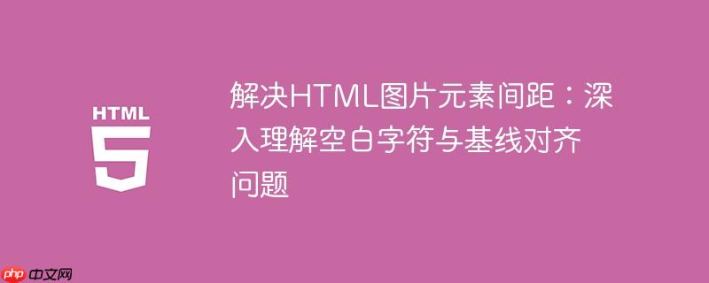 解决HTML图片元素间距：深入理解空白字符与基线对齐问题