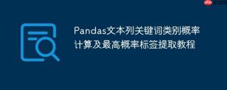 Pandas文本列关键词类别概率计算及最高概率标签提取教程