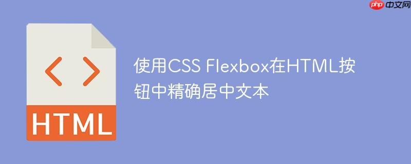 使用CSS Flexbox在HTML按钮中精确居中文本
